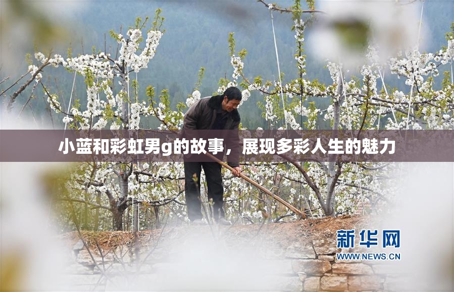 小蓝和彩虹男g的故事，展现多彩人生的魅力