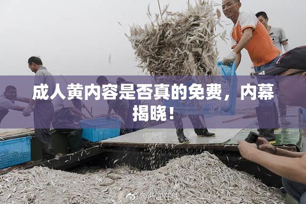 成人黄内容是否真的免费，内幕揭晓！
