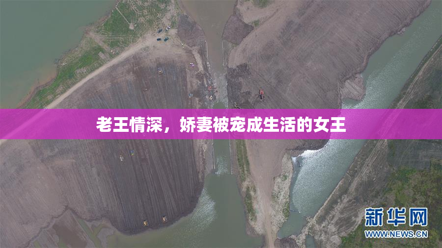 老王情深，娇妻被宠成生活的女王