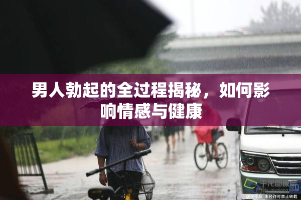 男人勃起的全过程揭秘，如何影响情感与健康