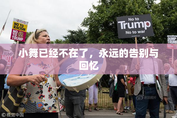 小舞已经不在了，永远的告别与回忆