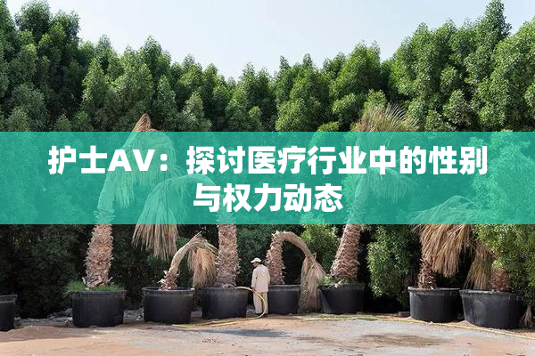 护士AV：探讨医疗行业中的性别与权力动态
