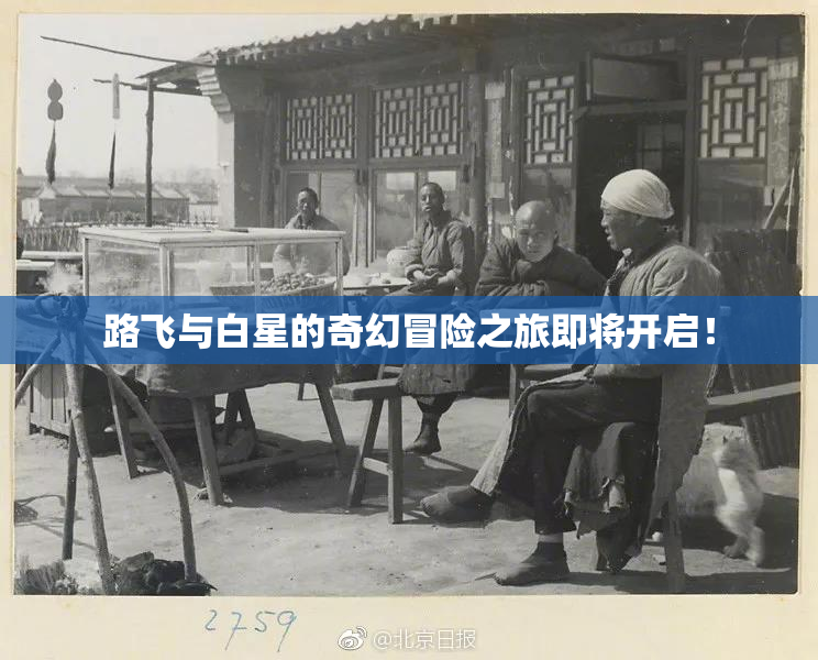 路飞与白星的奇幻冒险之旅即将开启！