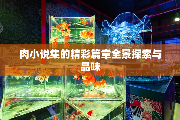 肉小说集的精彩篇章全景探索与品味