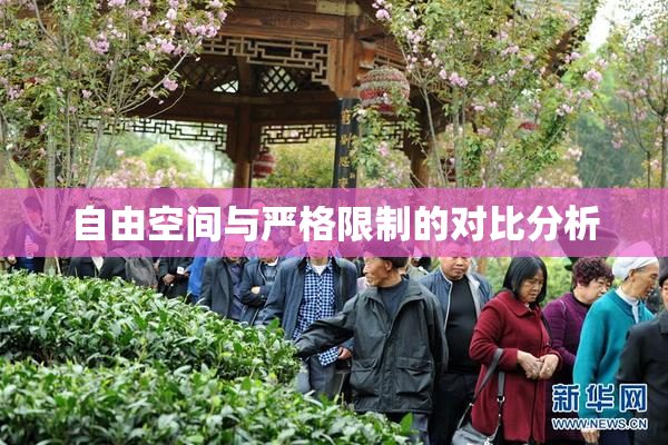 自由空间与严格限制的对比分析