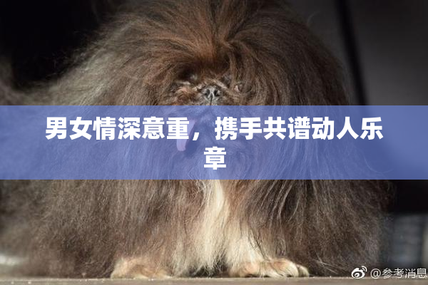 男女情深意重，携手共谱动人乐章