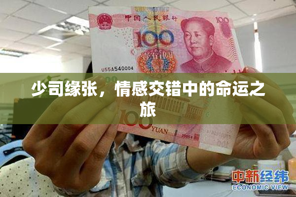 少司缘张，情感交错中的命运之旅