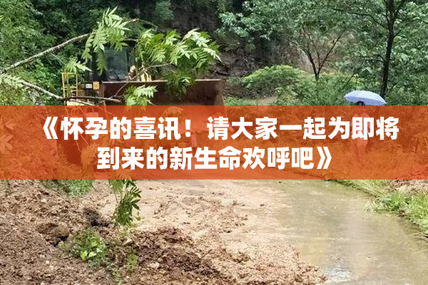《怀孕的喜讯！请大家一起为即将到来的新生命欢呼吧》