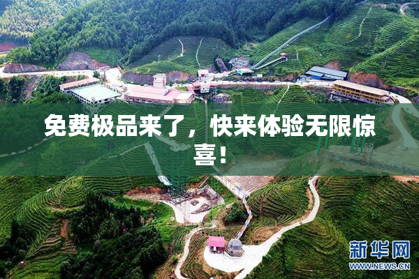 免费极品来了，快来体验无限惊喜！