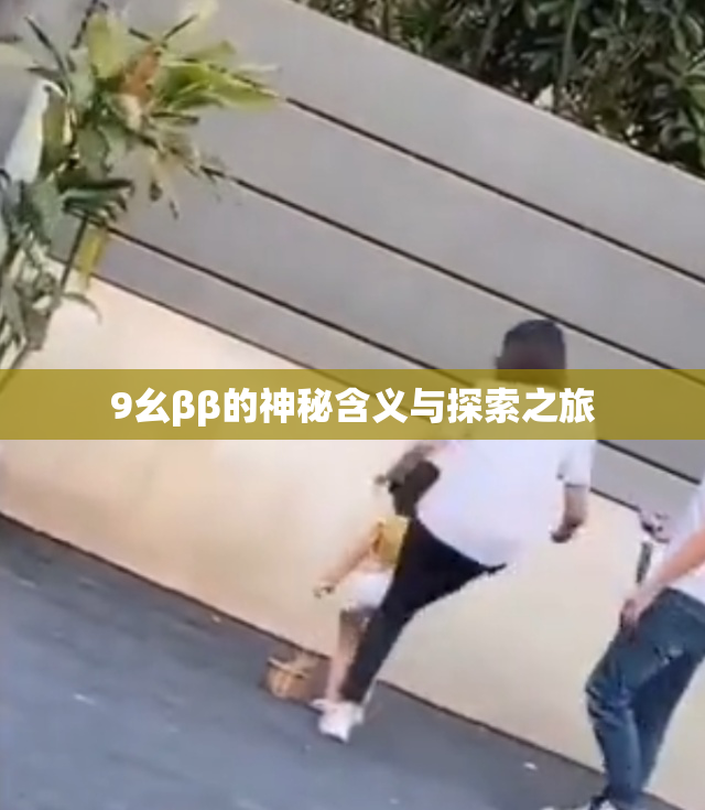 9幺ββ的神秘含义与探索之旅