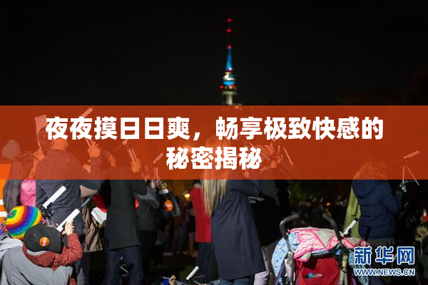 夜夜摸日日爽，畅享极致快感的秘密揭秘