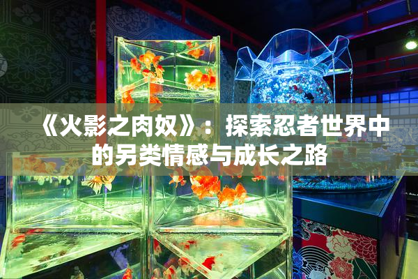 《火影之肉奴》：探索忍者世界中的另类情感与成长之路
