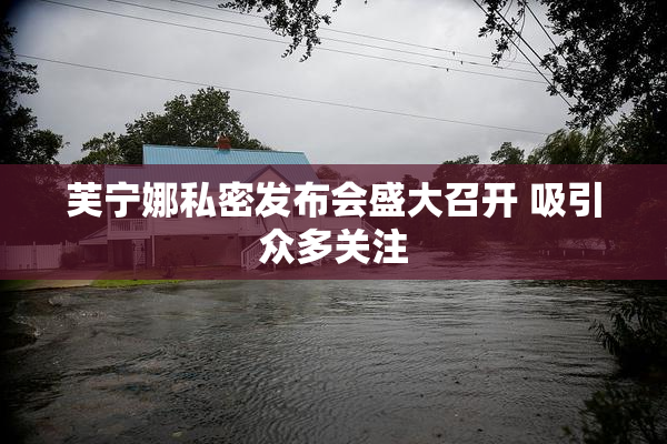 芙宁娜私密发布会盛大召开 吸引众多关注