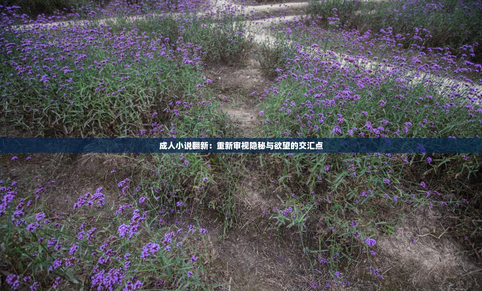 成人小说翻新：重新审视隐秘与欲望的交汇点