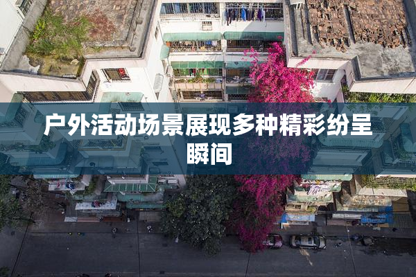 户外活动场景展现多种精彩纷呈瞬间