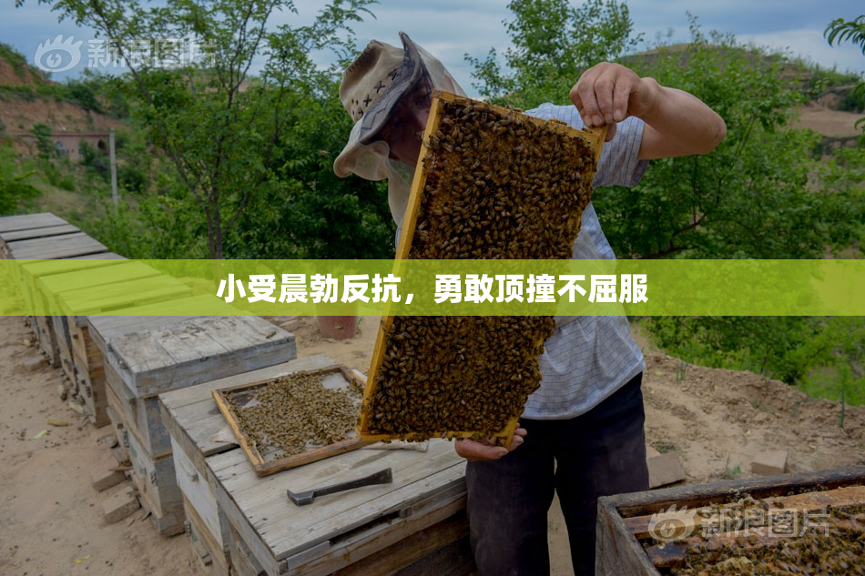 小受晨勃反抗，勇敢顶撞不屈服
