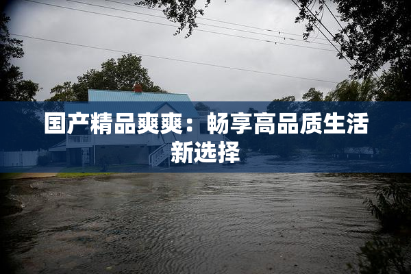 国产精品爽爽：畅享高品质生活新选择