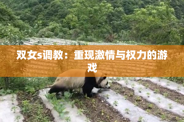 双女s调教：重现激情与权力的游戏