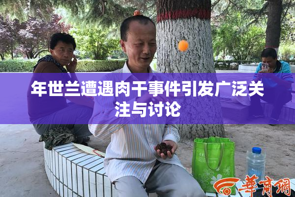 年世兰遭遇肉干事件引发广泛关注与讨论