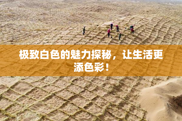 极致白色的魅力探秘，让生活更添色彩！