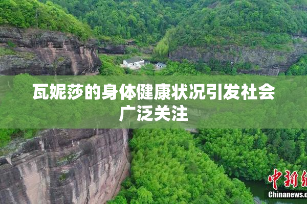 瓦妮莎的身体健康状况引发社会广泛关注