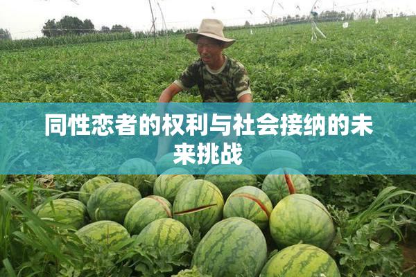 同性恋者的权利与社会接纳的未来挑战