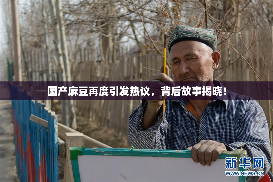 国产麻豆再度引发热议，背后故事揭晓！