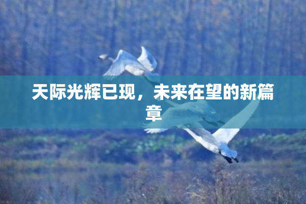 天际光辉已现，未来在望的新篇章