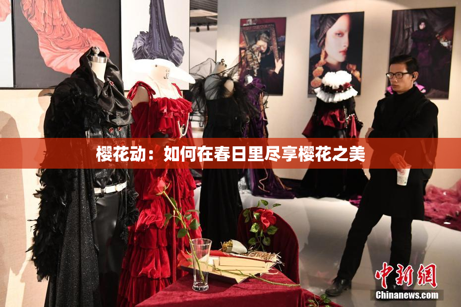 樱花动：如何在春日里尽享樱花之美