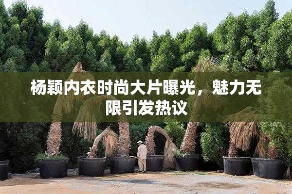 杨颖内衣时尚大片曝光，魅力无限引发热议