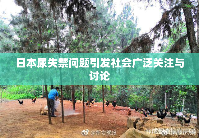 日本尿失禁问题引发社会广泛关注与讨论