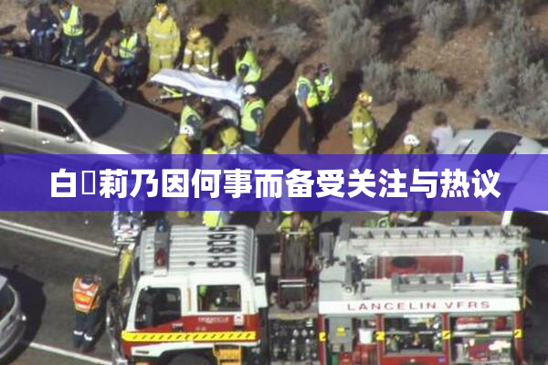 白咲莉乃因何事而备受关注与热议