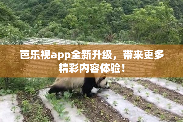 芭乐视app全新升级，带来更多精彩内容体验！