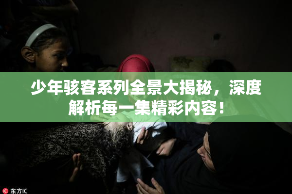少年骇客系列全景大揭秘，深度解析每一集精彩内容！