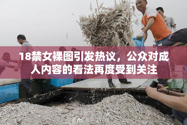 18禁女裸图引发热议，公众对成人内容的看法再度受到关注