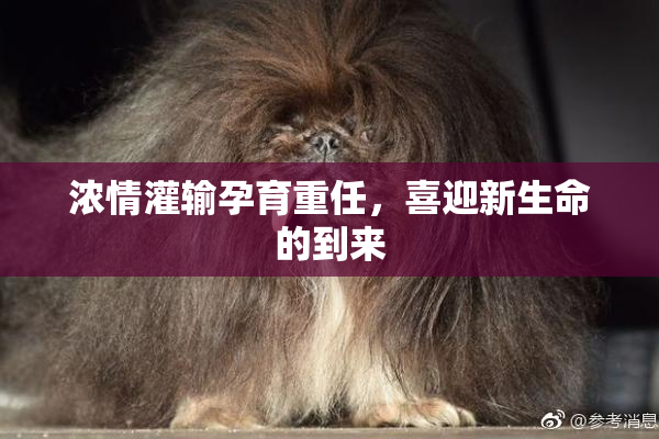 浓情灌输孕育重任，喜迎新生命的到来