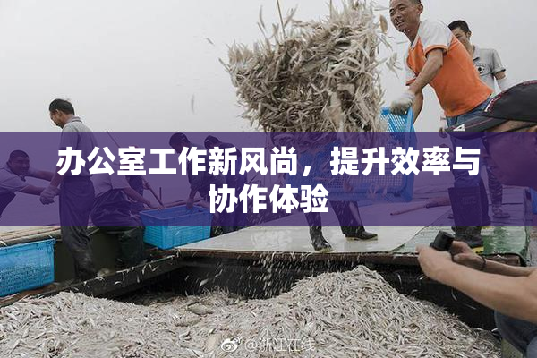 办公室工作新风尚，提升效率与协作体验