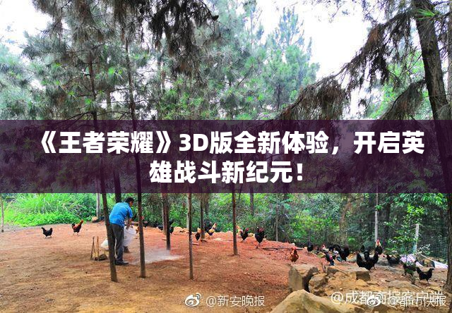 《王者荣耀》3D版全新体验，开启英雄战斗新纪元！