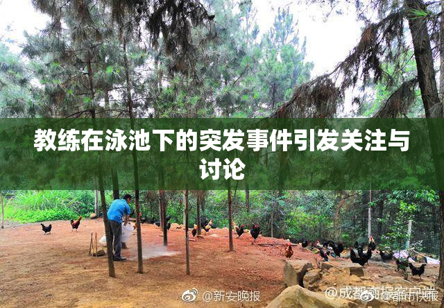 教练在泳池下的突发事件引发关注与讨论
