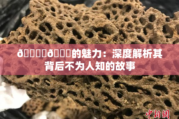 🔞‌🍌的魅力：深度解析其背后不为人知的故事