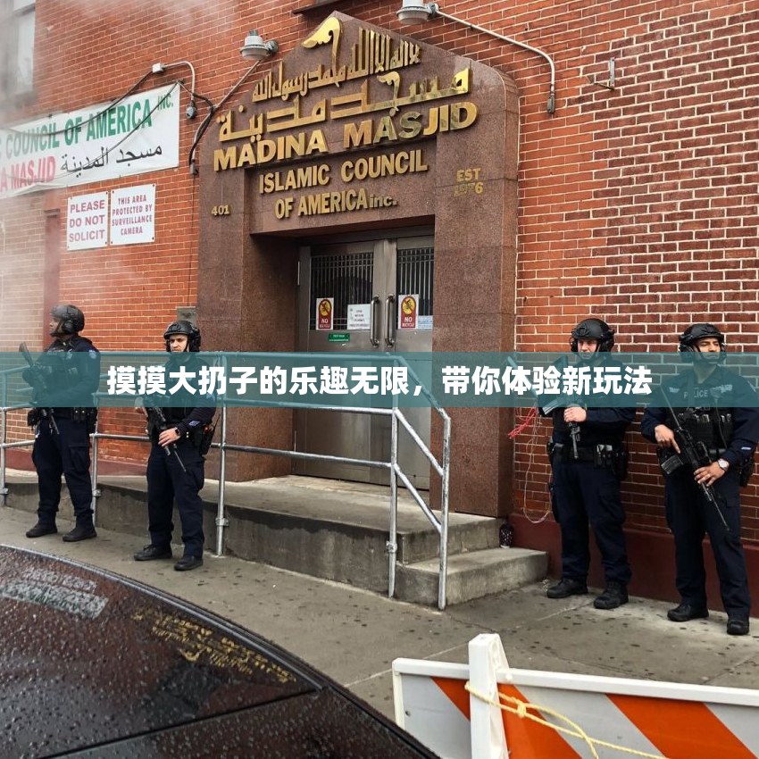 摸摸大扔子的乐趣无限，带你体验新玩法