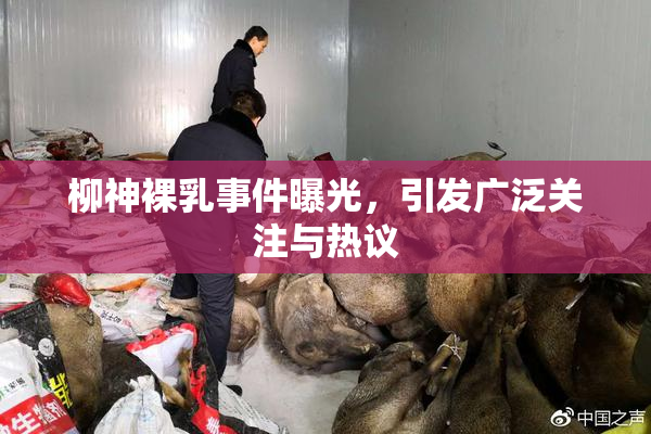 柳神裸乳事件曝光，引发广泛关注与热议
