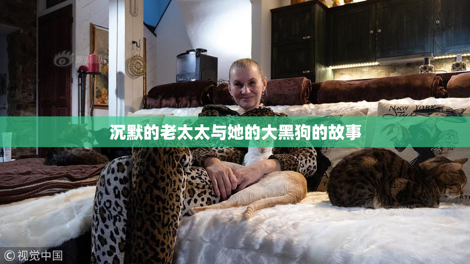 沉默的老太太与她的大黑狗的故事