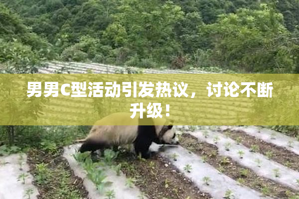 男男C型活动引发热议，讨论不断升级！