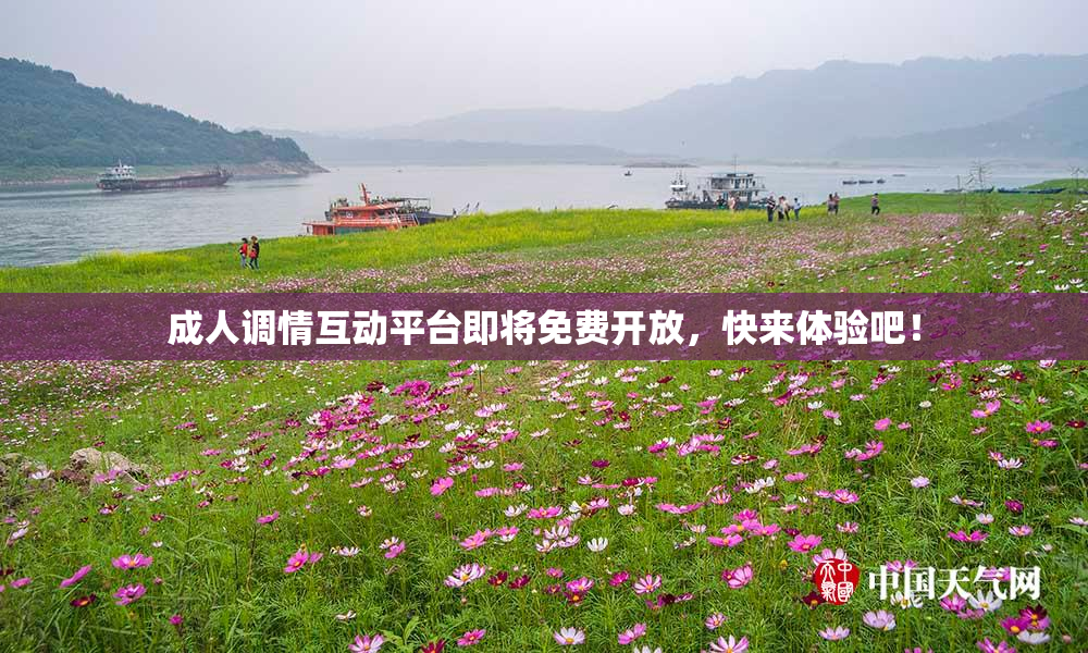 成人调情互动平台即将免费开放，快来体验吧！