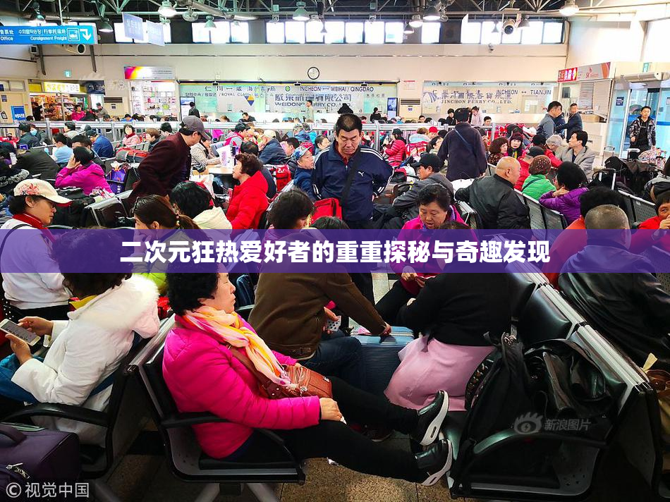 二次元狂热爱好者的重重探秘与奇趣发现