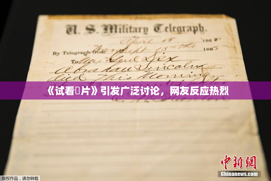 《试看婬片》引发广泛讨论，网友反应热烈