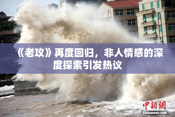 《老攻》再度回归，非人情感的深度探索引发热议