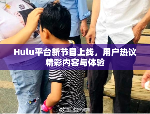Hulu平台新节目上线，用户热议精彩内容与体验