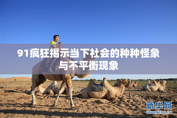91疯狂揭示当下社会的种种怪象与不平衡现象